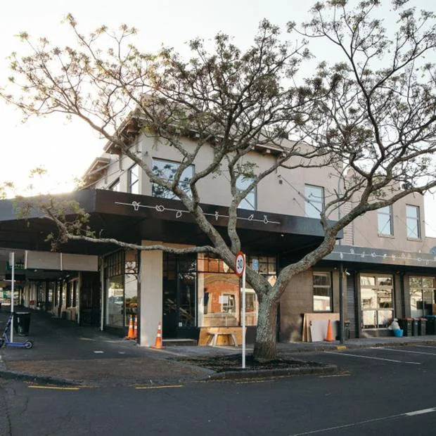 170 Jervois Road Seismic Strengthening